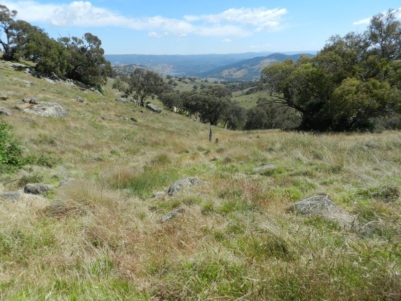 Lot 2 Decca Road, Bigga NSW 2583