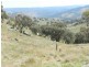 Lot 2 Decca Road, Bigga NSW 2583