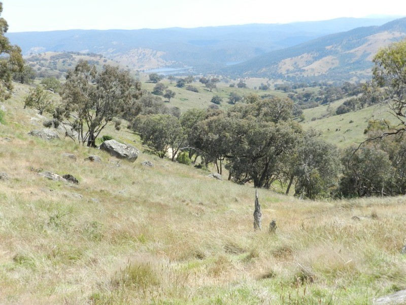 Lot 2 Decca Road, Bigga NSW 2583