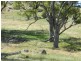 Lot 2 Decca Road, Bigga NSW 2583