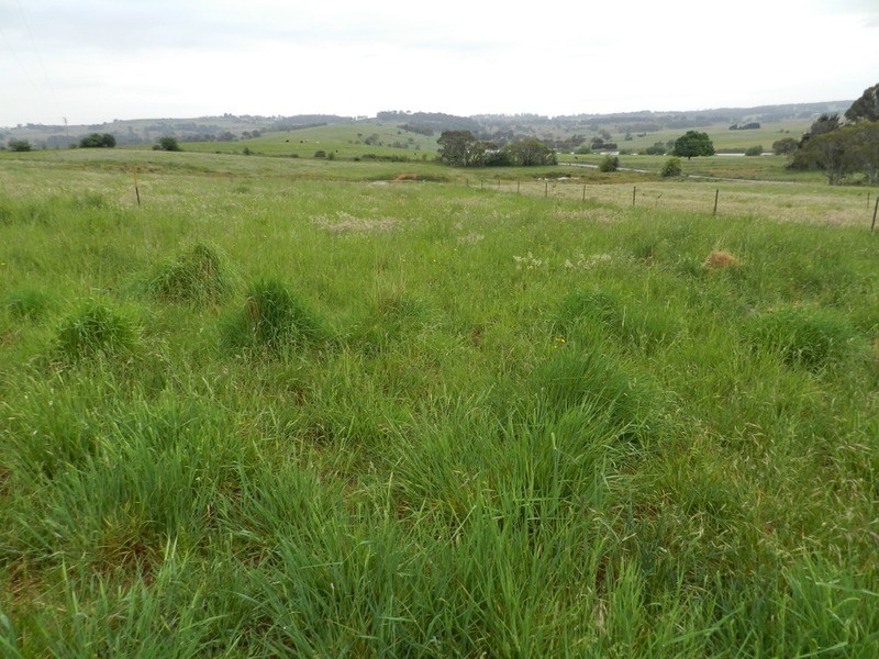 109 Iron Mine  Road, Crookwell NSW 2583