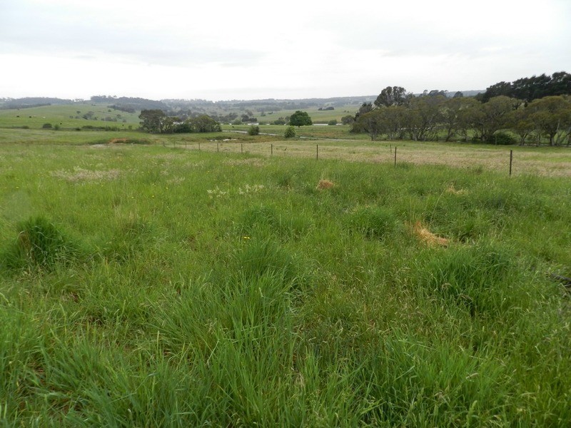 109 Iron Mine  Road, Crookwell NSW 2583