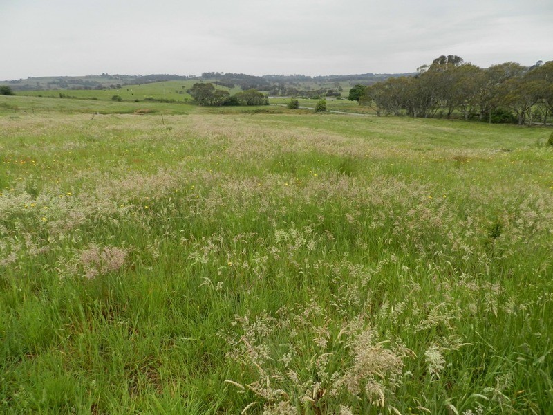 109 Iron Mine  Road, Crookwell NSW 2583