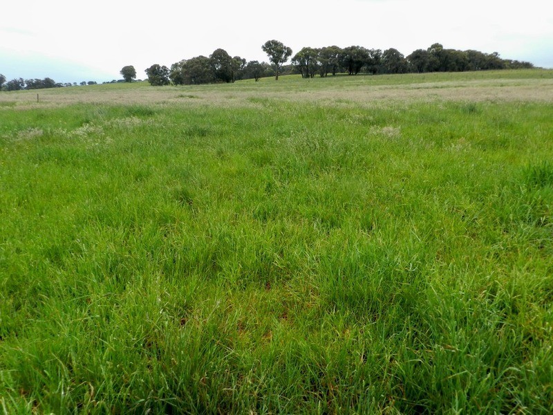 109 Iron Mine  Road, Crookwell NSW 2583