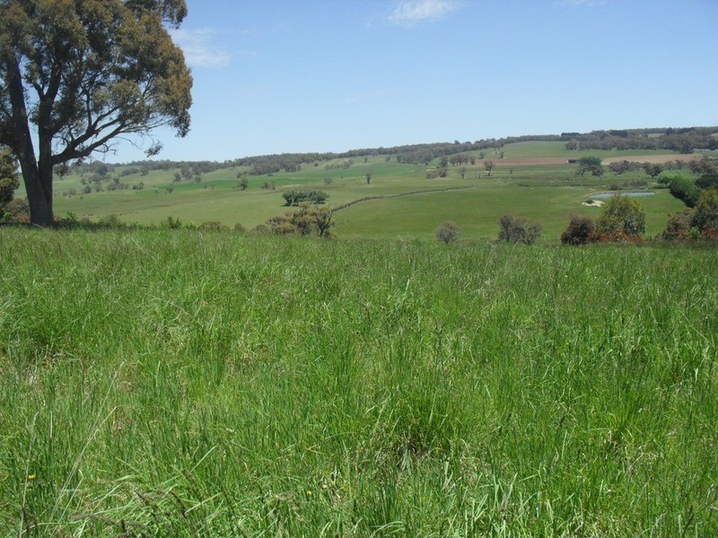 Lot 38 Barry  Place, Crookwell NSW 2583