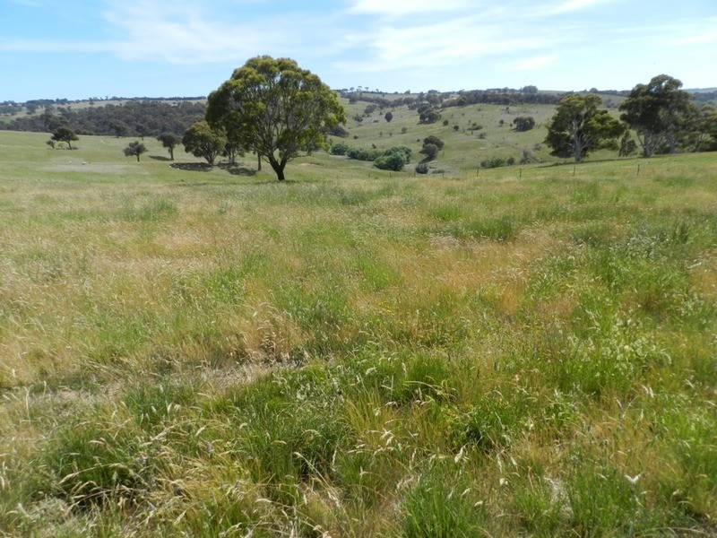 6325 Boorowa Road, Crookwell NSW 2583