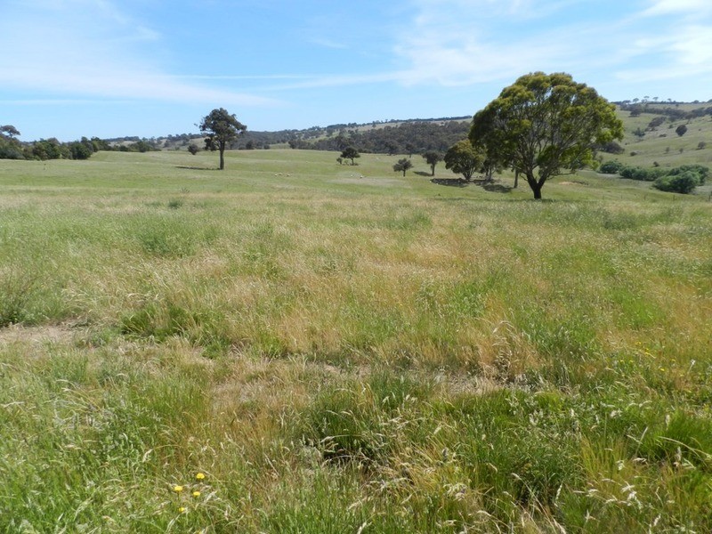 6325 Boorowa Road, Crookwell NSW 2583