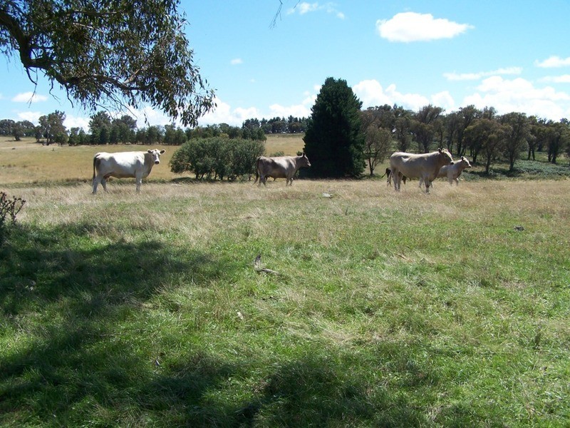 “Keira-Lee” Taralga Road, Laggan NSW 2583