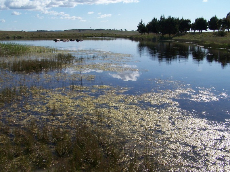 Lot 3 Bullamalita Road, Goulburn NSW 2580