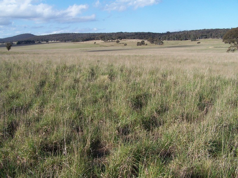 Lot 3 Bullamalita Road, Goulburn NSW 2580