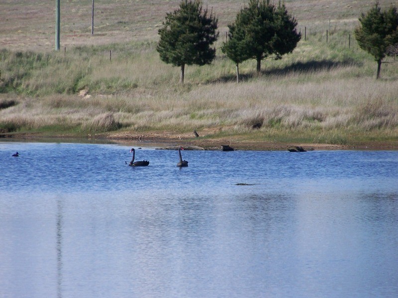 Lot 3 Bullamalita Road, Goulburn NSW 2580