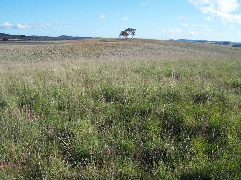 Lot 3 Bullamalita Road, Goulburn NSW 2580