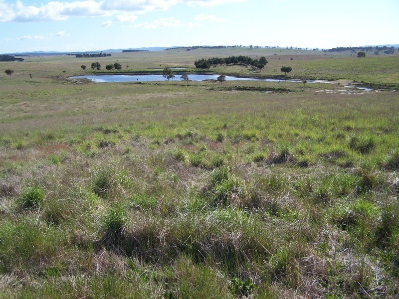 Lot 3 Bullamalita Road, Goulburn NSW 2580