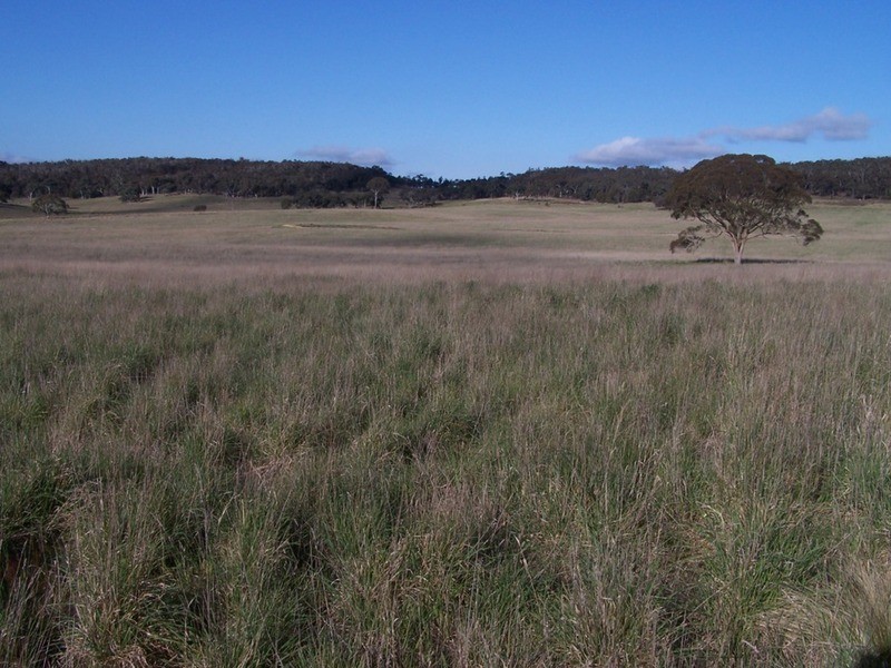 Lot 3 Bullamalita Road, Goulburn NSW 2580