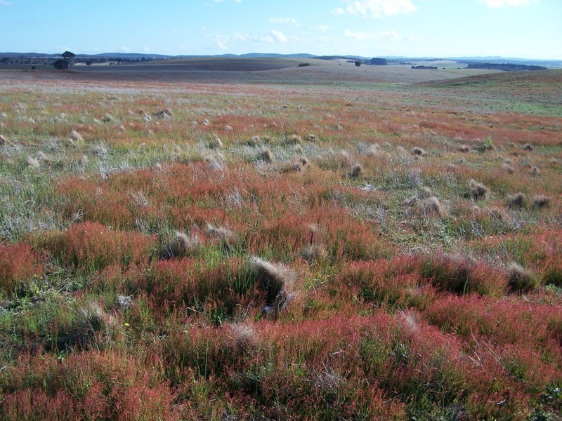 Lot 3 Bullamalita Road, Goulburn NSW 2580