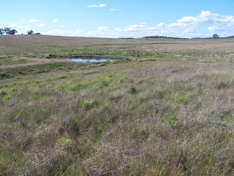 Lot 3 Bullamalita Road, Goulburn NSW 2580