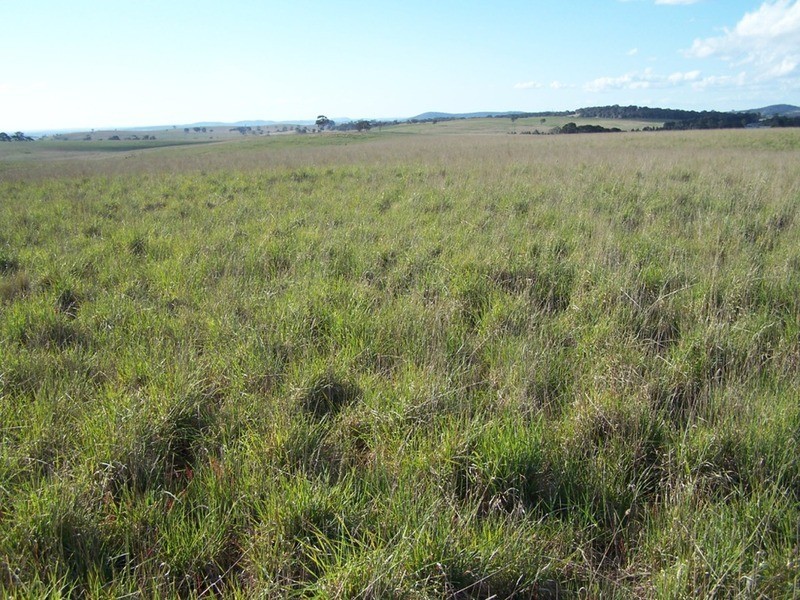 Lot 3 Bullamalita Road, Goulburn NSW 2580