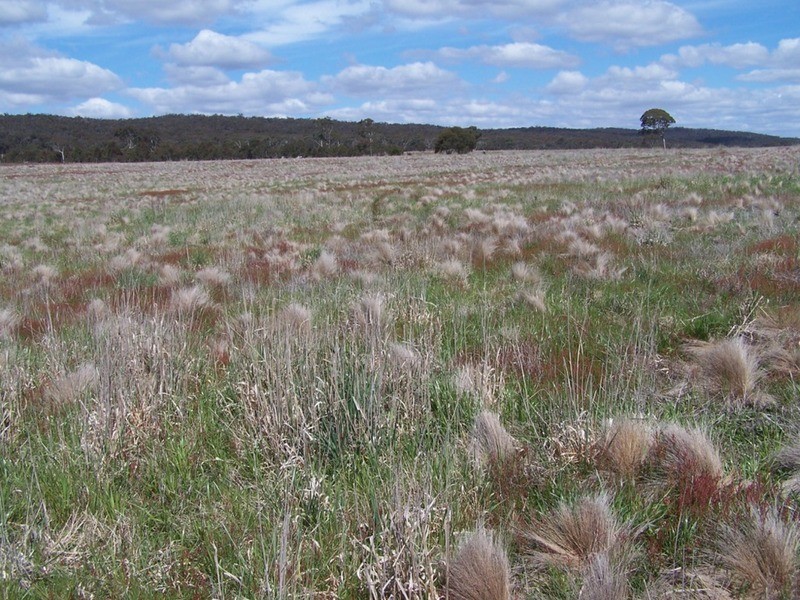 Adore Bullamalita Road, Goulburn NSW 2580