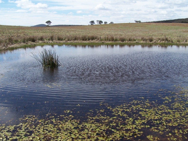 Adore Bullamalita Road, Goulburn NSW 2580