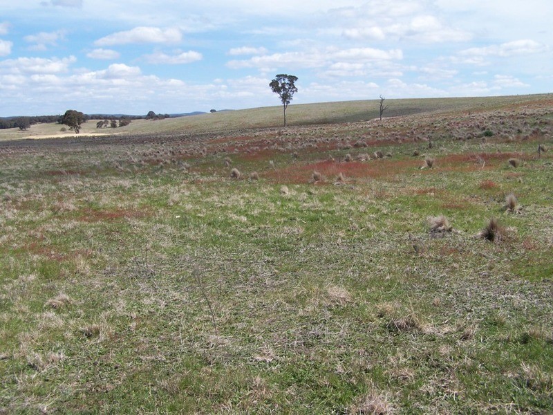 Adore Bullamalita Road, Goulburn NSW 2580