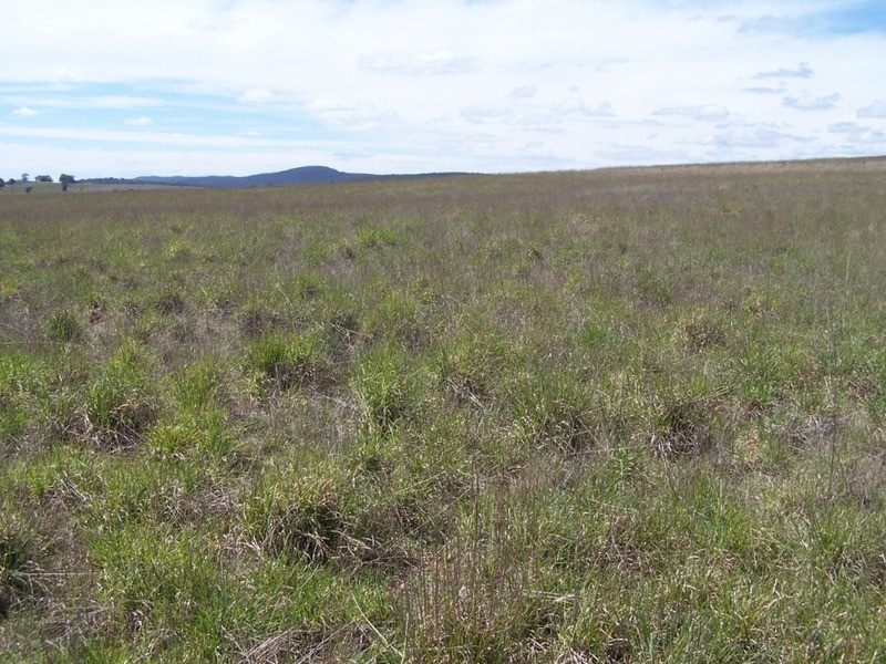 Lot 4 Bullamalita Road, Goulburn NSW 2580