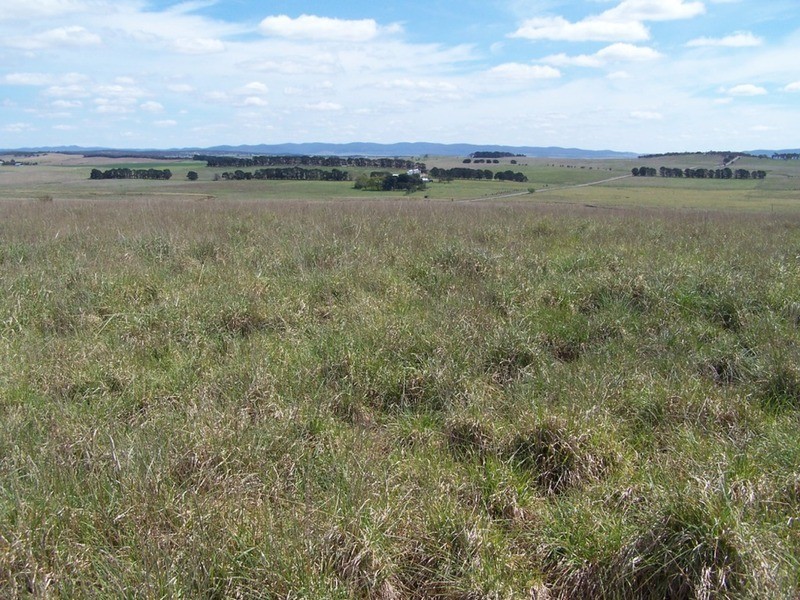 Lot 4 Bullamalita Road, Goulburn NSW 2580