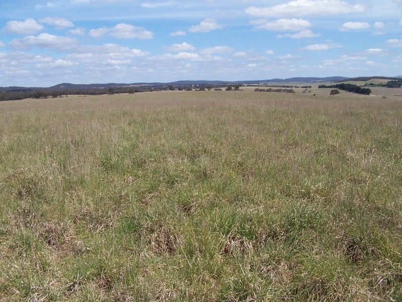 Lot 4 Bullamalita Road, Goulburn NSW 2580