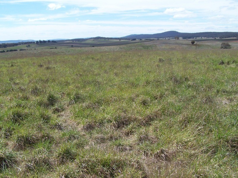 Lot 4 Bullamalita Road, Goulburn NSW 2580