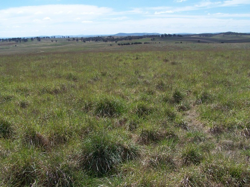 Lot 4 Bullamalita Road, Goulburn NSW 2580