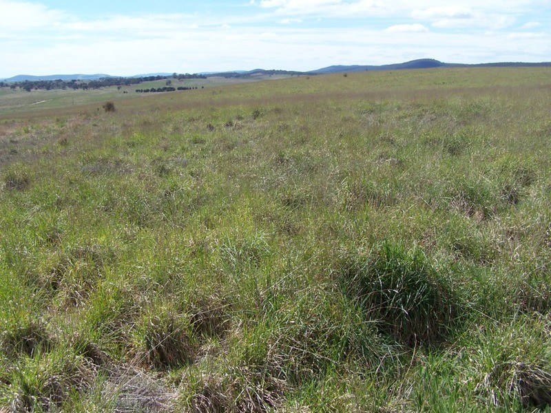 Lot 4 Bullamalita Road, Goulburn NSW 2580