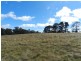 990 Mountain Ash Road, Goulburn NSW 2580