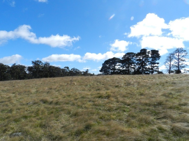 990 Mountain Ash Road, Goulburn NSW 2580