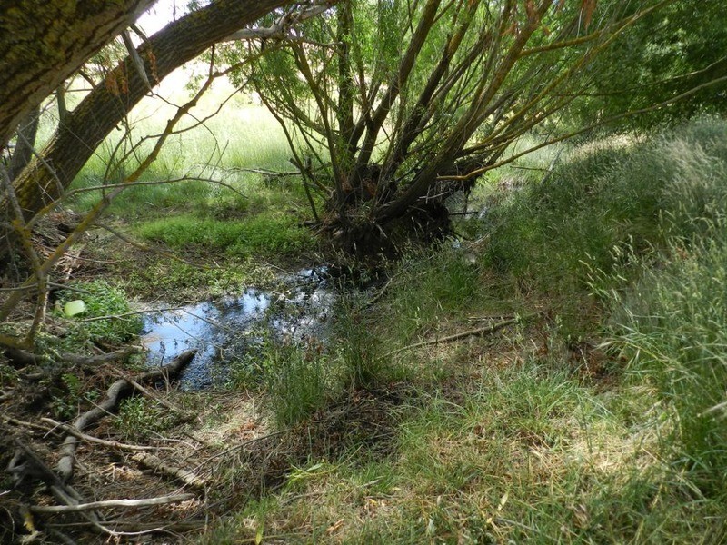 Middle Creek Pejar Road, Crookwell NSW 2583