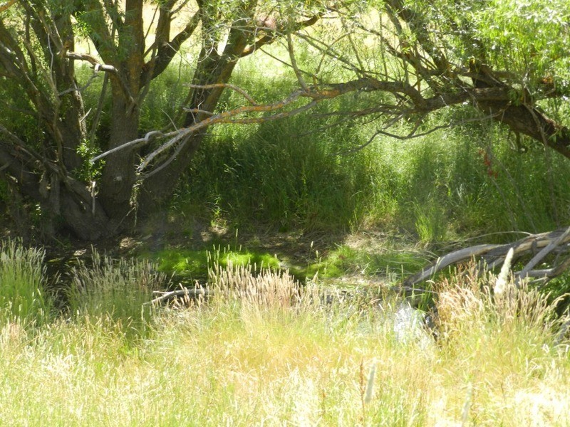 Middle Creek Pejar Road, Crookwell NSW 2583