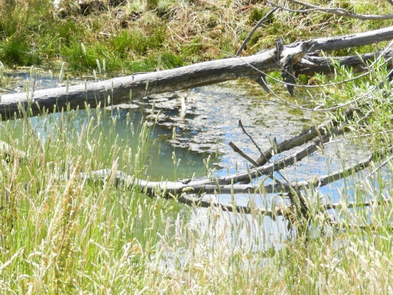 Middle Creek Pejar Road, Crookwell NSW 2583