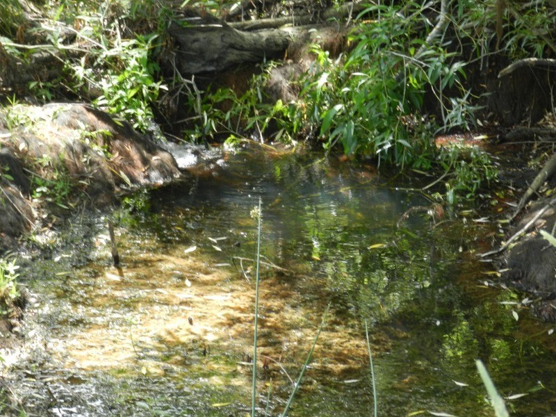 Middle Creek Pejar Road, Crookwell NSW 2583