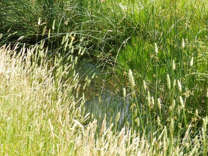 Middle Creek Pejar Road, Crookwell NSW 2583