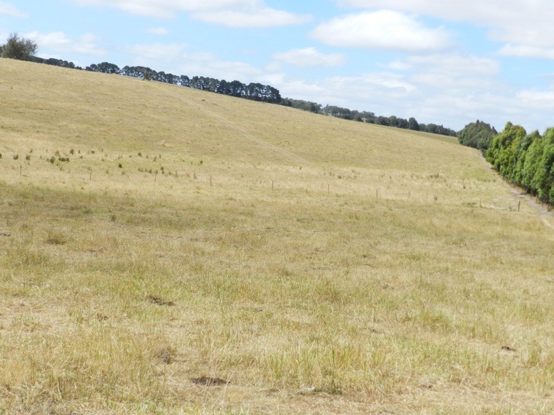Lot 4 Pejar  Road, Pejar NSW 2583