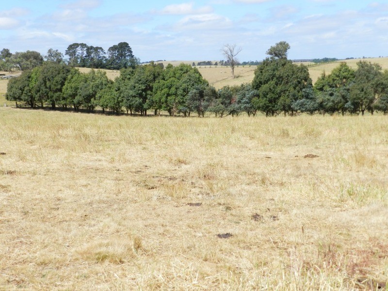 Lot 4 Pejar  Road, Pejar NSW 2583