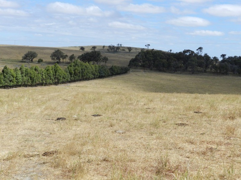 Lot 4 Pejar  Road, Pejar NSW 2583
