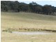 Lot 4 Pejar  Road, Pejar NSW 2583