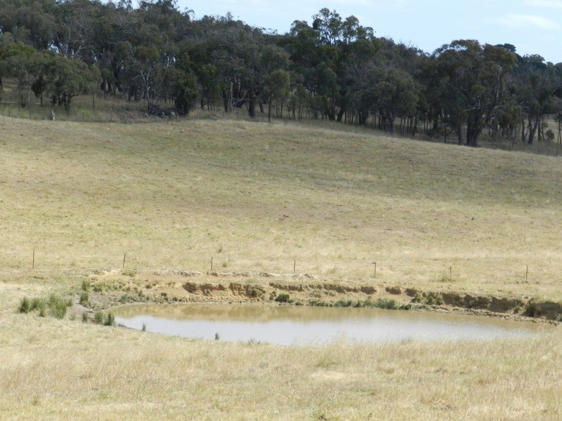 Lot 4 Pejar  Road, Pejar NSW 2583