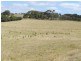Lot 4 Pejar  Road, Pejar NSW 2583