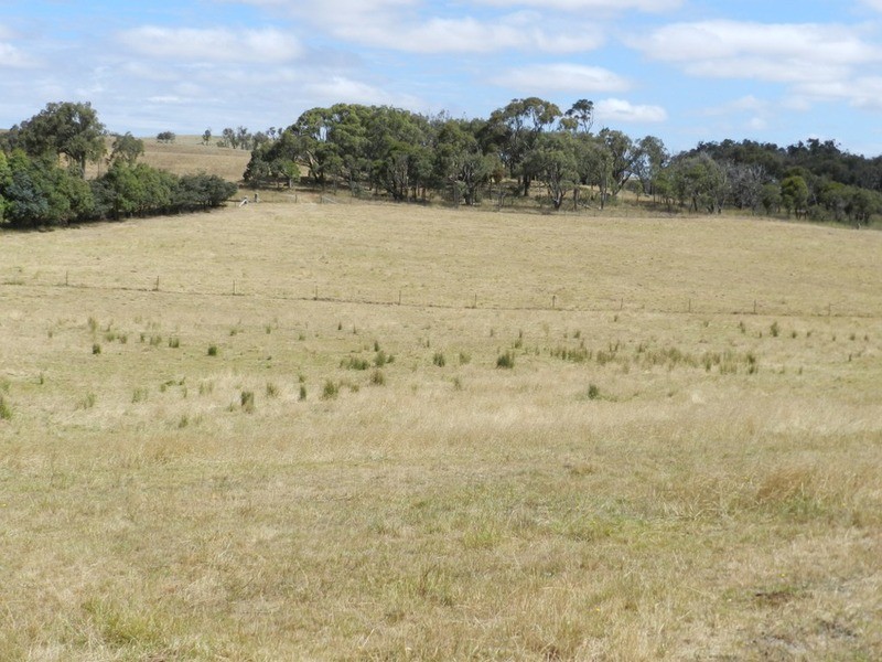 Lot 4 Pejar  Road, Pejar NSW 2583
