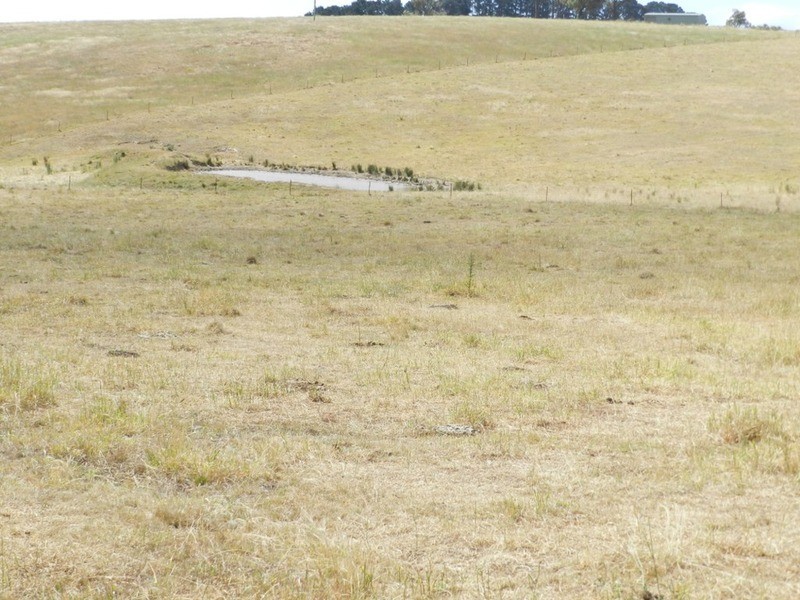 Lot 4 Pejar  Road, Pejar NSW 2583