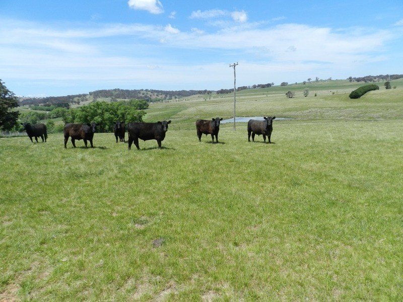 5973 Boorowa Road, Crookwell NSW 2583