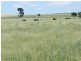 5973 Boorowa Road, Crookwell NSW 2583