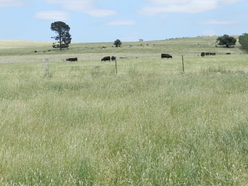 5973 Boorowa Road, Crookwell NSW 2583
