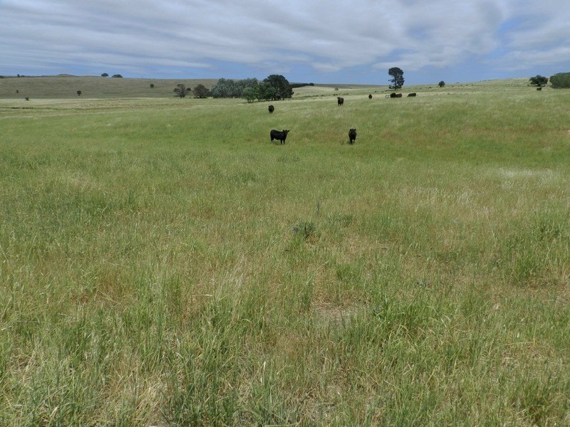 5973 Boorowa Road, Crookwell NSW 2583