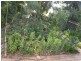 Lot 4 Tulloh Street, Crookwell NSW 2583